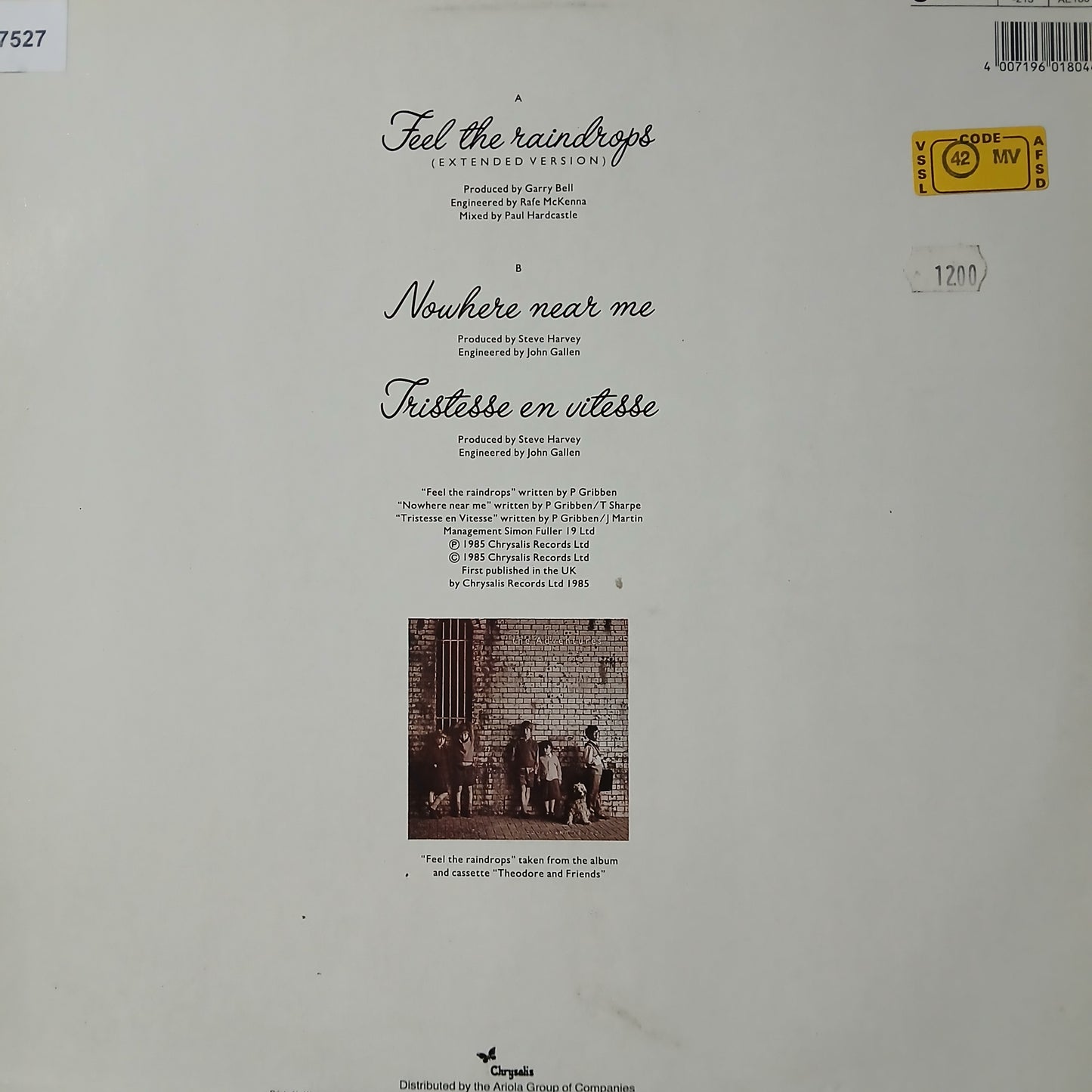 The Adventures Feel The Raindrops Maxi De Epoca VG+