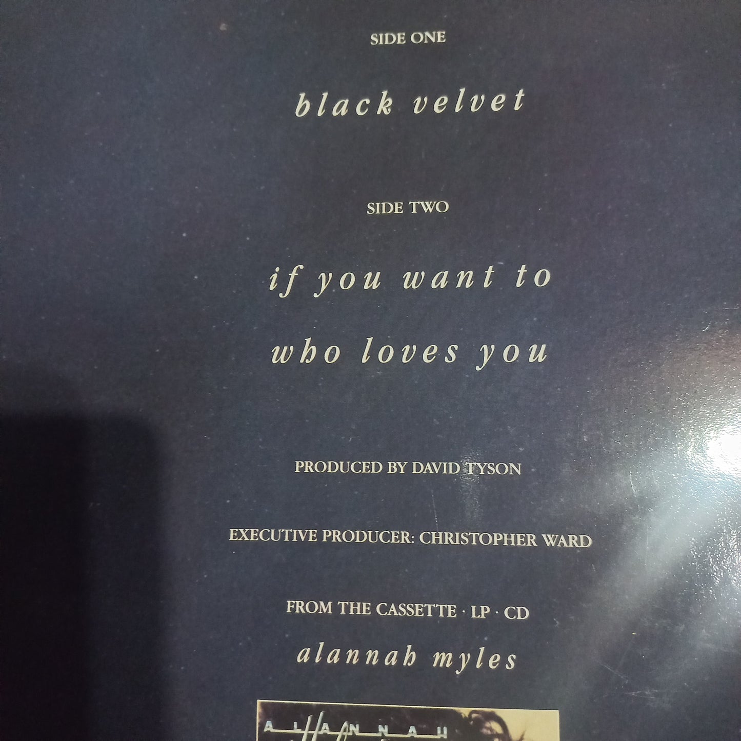 Alannah Miles Black Velvet Maxi de Epoca VG +