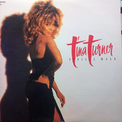 Tina Turner Typical Male Maxi 2da. Mano Usado en Excelente Estado