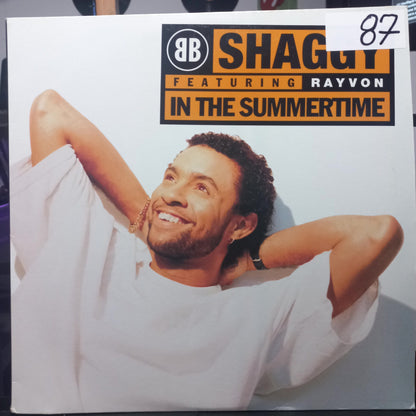 Shaggy In the Summertime Maxi 2da. Mano Usado en Excelente Estado