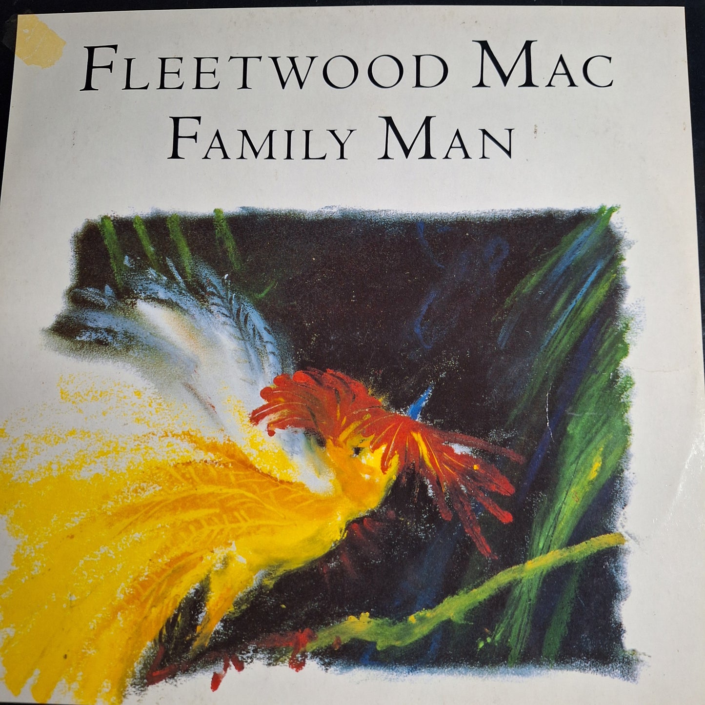 Fleetwood Mac Family Man Maxi 2da. Mano Usado VG+