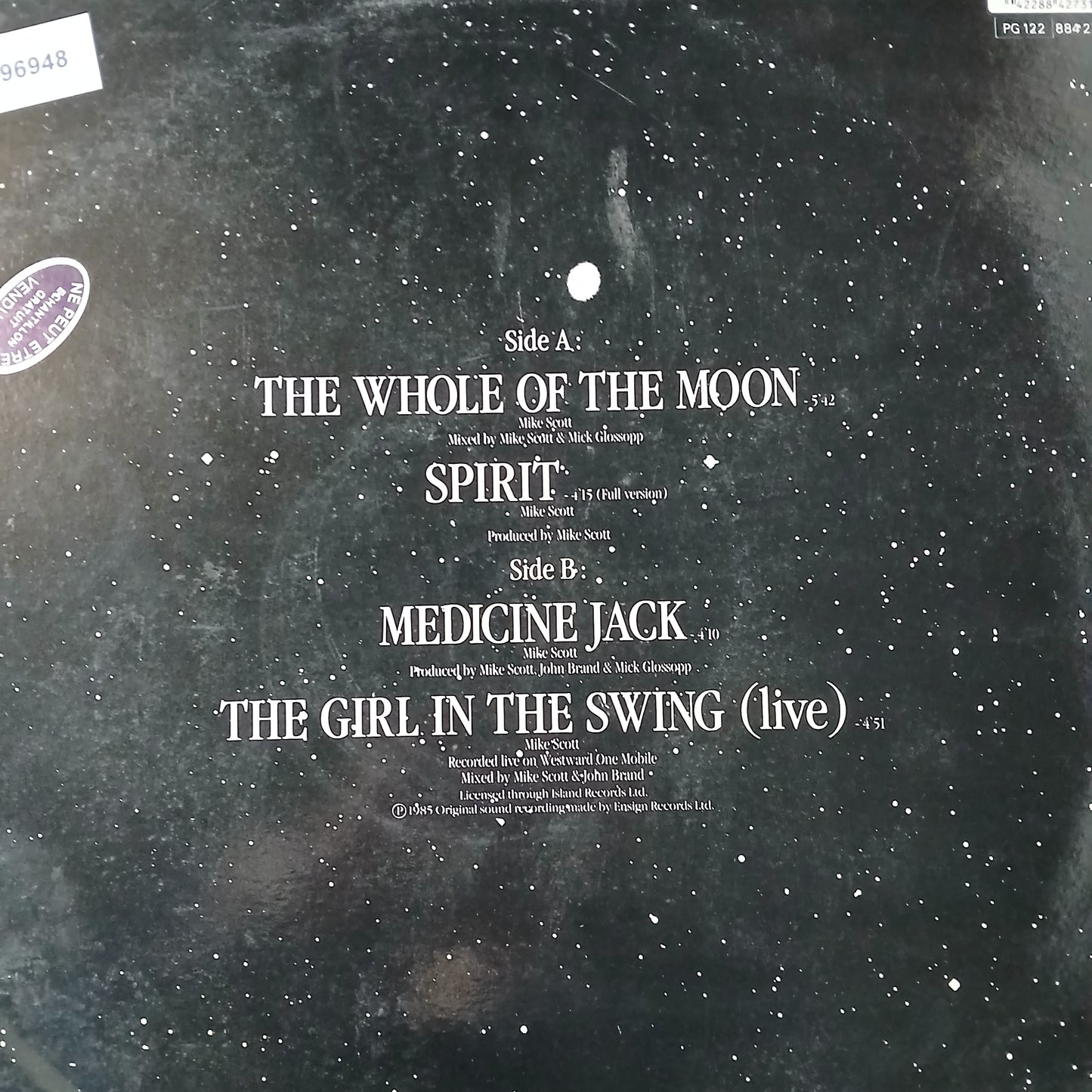 The Waterboys The Whole of the Moon Maxi De Epoca VG+