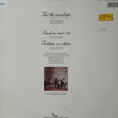 The Adventures Feel The Raindrops Maxi De Epoca VG+