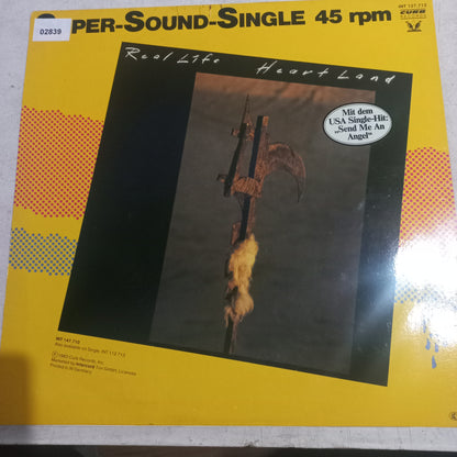 Real Life Catch Me Im Falling Maxi de Epoca VG +